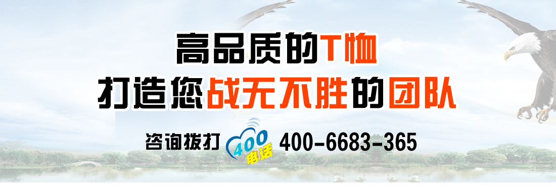 t恤衫1522-13(图14)